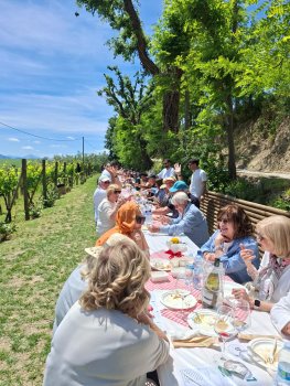 Een weekend lang wijn proeven in Le Marche